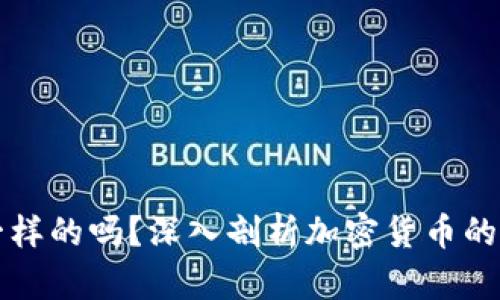 虚拟币源代码是一样的吗？深入剖析加密货币的源代码差异与共性