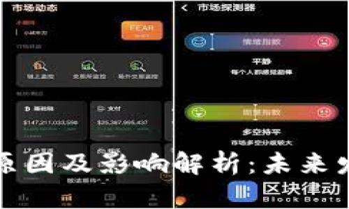 虚拟币公司破产的原因及影响解析：未来发展前景与投资风险