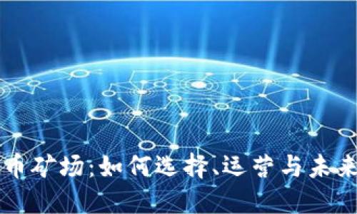 云南虚拟币矿场：如何选择、运营与未来发展趋势