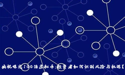 央视曝光100倍虚拟币：投资者如何识别风险与机遇？