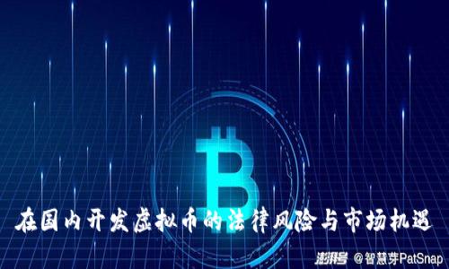 在国内开发虚拟币的法律风险与市场机遇