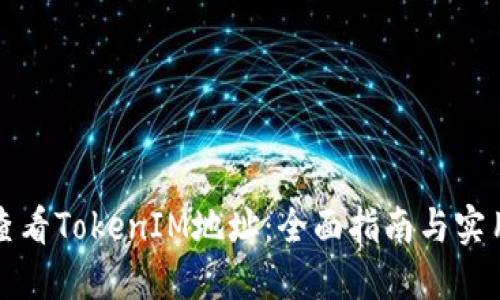 如何查看TokenIM地址：全面指南与实用技巧