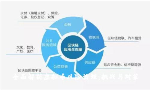 全面解析虚拟币风险治理：挑战与对策