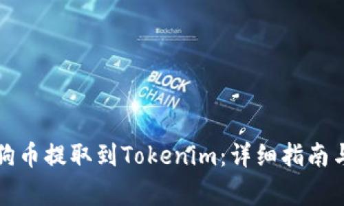 如何将狗狗币提取到Tokenim：详细指南与注意事项
