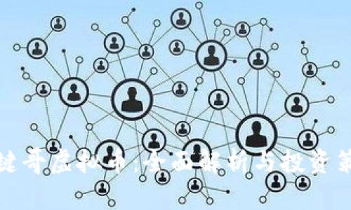 一键哥虚拟币：全面解析与投资策略