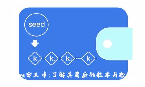 Tokenim分叉币：了解其背后的技术与投资机会