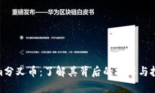 Tokenim分叉币：了解其背后的技术与投资机会