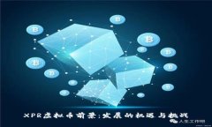 XPR虚拟币前景：发展的机遇与挑战