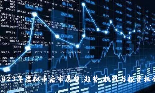 2023年虚拟币后市展望：趋势、挑战与投资机会