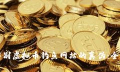 如何辨别虚拟币钓鱼网站
