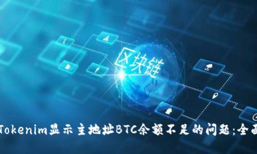 解决Tokenim显示主地址BTC余额不足的问题：全面指南