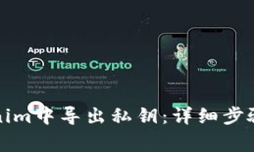 如何在Tokenim中导出私钥：详细步骤与注意事项