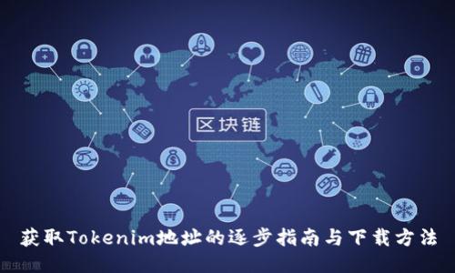 获取Tokenim地址的逐步指南与下载方法