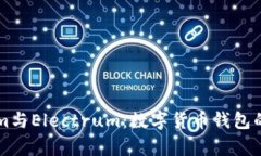 深入探讨Tokenim与Electrum：