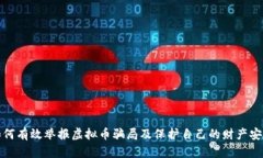 如何有效举报虚拟币骗局