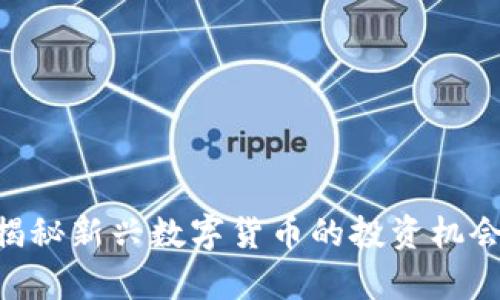 NB虚拟币：揭秘新兴数字货币的投资机会与风险分析