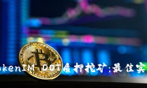 : 深入了解TokenIM DOT质押挖矿：最佳实践与收益分析