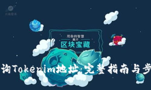 如何查询Tokenim地址：完整指南与步骤解析