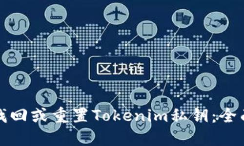如何找回或重置Tokenim私钥：全面指南