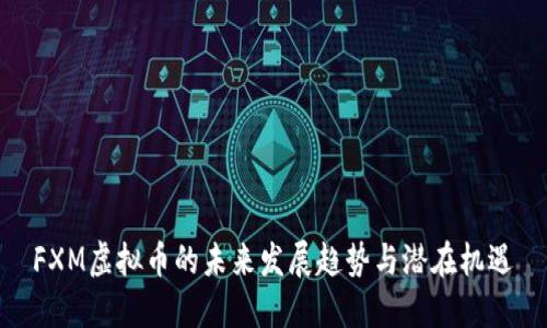 FXM虚拟币的未来发展趋势与潜在机遇