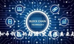最早虚拟币钱包的起源、发展及未来趋势分析