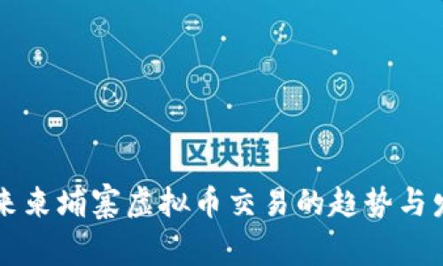 未来柬埔寨虚拟币交易的趋势与发展