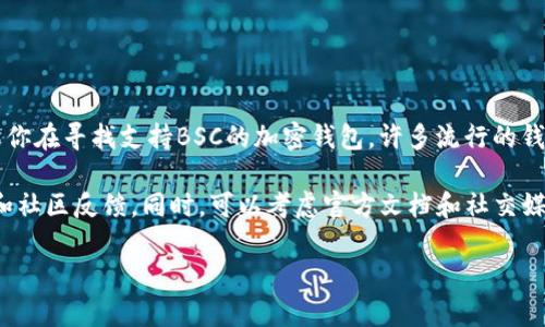 关于Tokenim钱包是否支持BSC（Binance Smart Chain），我无法提供确切的信息。但是，如果你在寻找支持BSC的加密钱包，许多流行的钱包，如MetaMask和Trust Wallet，都可以与BSC兼容，允许用户轻松存储和管理BSC上的代币。

如果你对Tokenim钱包有兴趣，建议你访问它的官方网站或相关论坛，以获取最新的支持信息和社区反馈。同时，可以考虑官方文档和社交媒体，通常会提供最准确的信息。

如有需要了解更多细节或其他相关问题，请告诉我！