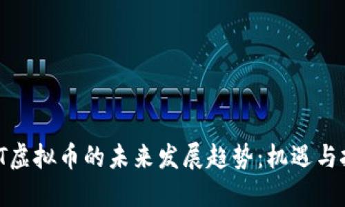 MXT虚拟币的未来发展趋势：机遇与挑战