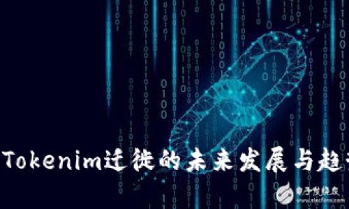 ziaotiTokenim迁徙的未来发展与趋势解析