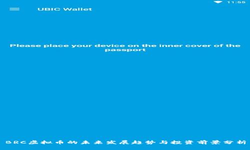 BRC虚拟币的未来发展趋势与投资前景分析