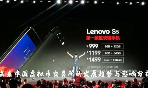 未来中国虚拟币交易所的发展趋势与影响分析