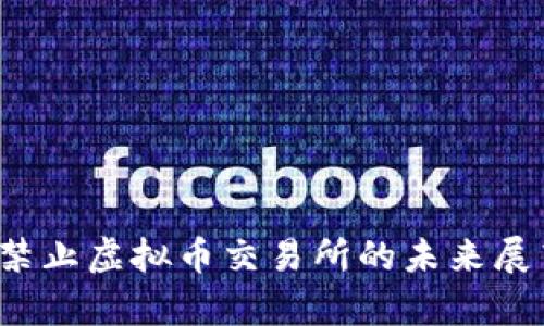 2023年中国禁止虚拟币交易所的未来展望与趋势分析