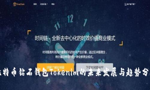 比特币钻石钱包Tokenim的未来发展与趋势分析