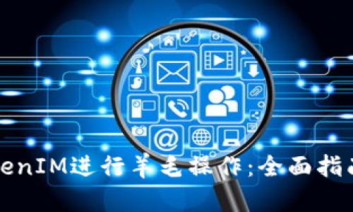 如何利用TokenIM进行羊毛操作：全面指南与实用技巧