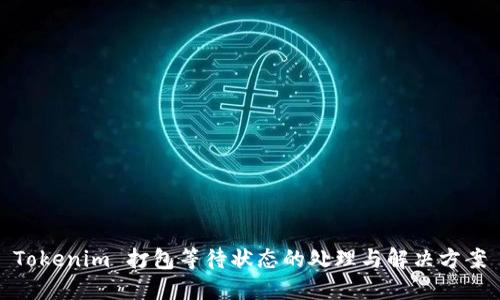 Tokenim 打包等待状态的处理与解决方案