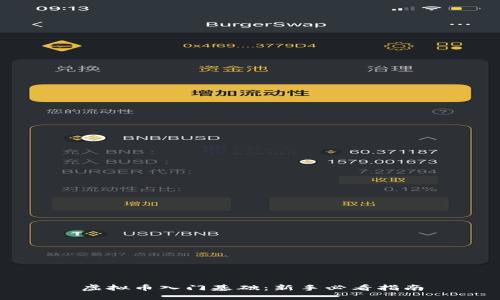 虚拟币入门基础：新手必看指南