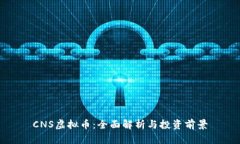 CNS虚拟币：全面解析与投资前景