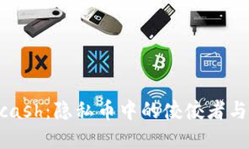 深入探讨Zcash：隐私币中的佼佼者与其未来展望