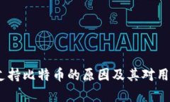 Tokenim 不支持比特币的原因及其对用户的影响分析