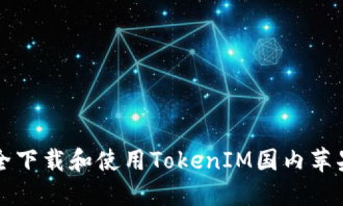 如何安全下载和使用TokenIM国内苹果版应用