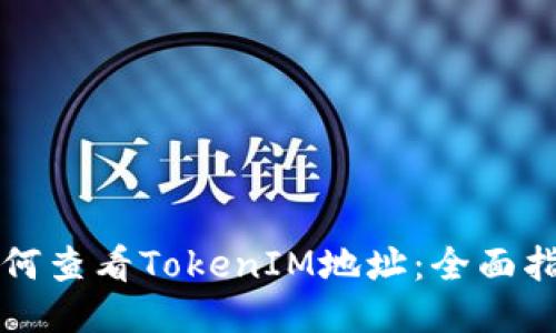 如何查看TokenIM地址：全面指南
