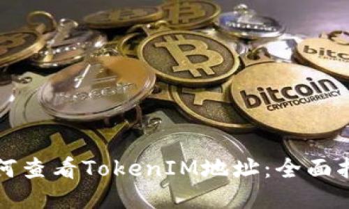 如何查看TokenIM地址：全面指南