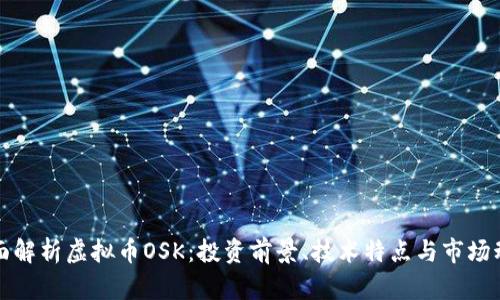 全面解析虚拟币OSK：投资前景、技术特点与市场动态