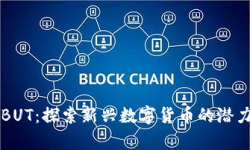 虚拟币BUT：探索新兴数字货币的潜力与前景