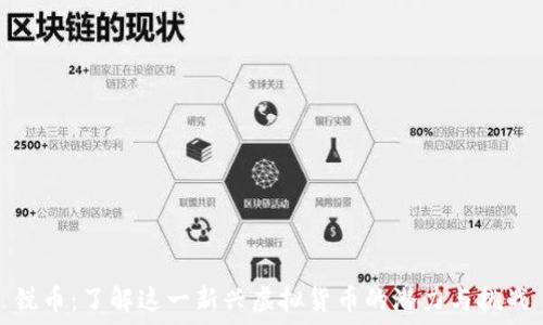   
锐币：了解这一新兴虚拟货币的潜力与挑战