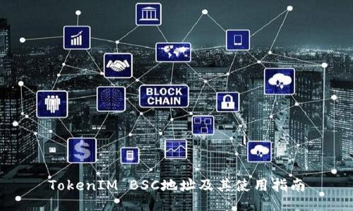 TokenIM BSC地址及其使用指南