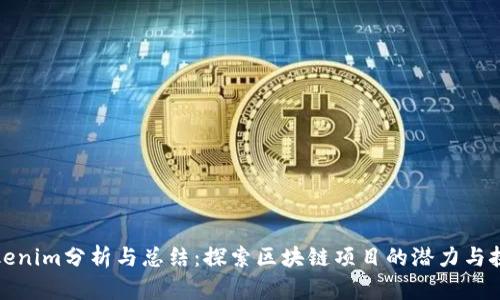 Tokenim分析与总结：探索区块链项目的潜力与挑战