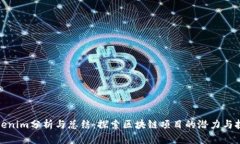 Tokenim分析与总结：探索区块链项目的潜力与挑战