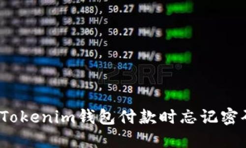 如何解决Tokenim钱包付款时忘记密码的问题？