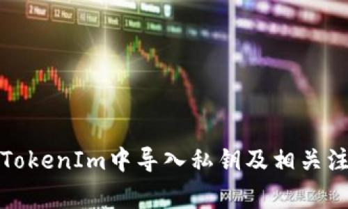 如何在TokenIm中导入私钥及相关注意事项